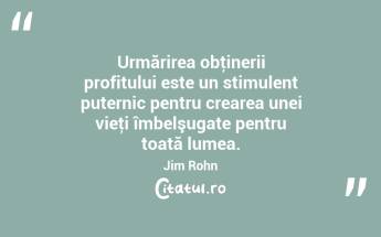 Urmărirea obţinerii profitului este un stimulent puternic pentru crearea unei vieţi îmbelşugate pentru toată lumea. Jim Rohn...