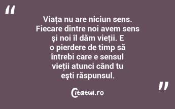 Viaţa nu are niciun sens. Fiecare dintre noi avem sens şi noi îl dăm vieţii. E o pierdere de timp să întrebi care e sensul vieţii atunci când tu eşti răspunsul. ...