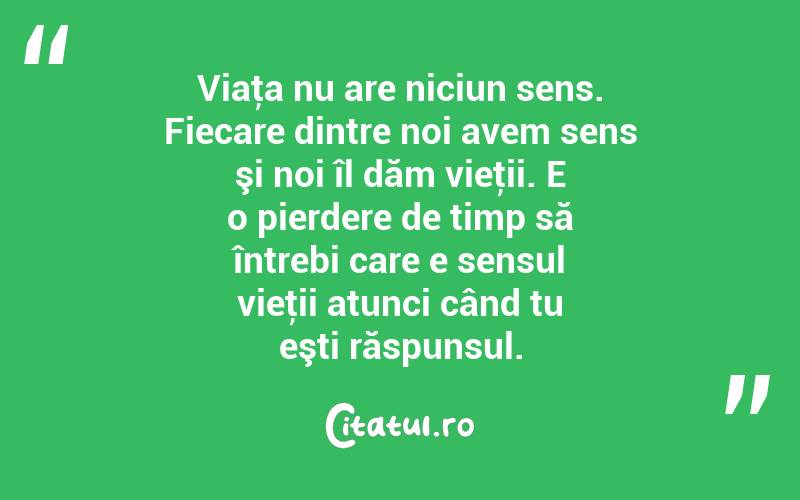 Viaţa nu are niciun sens. Fiecare dintre noi avem sens şi noi îl dăm vieţii. E o pierdere de timp să întrebi care e sensul vieţii atunci când tu eşti răspunsul. 
