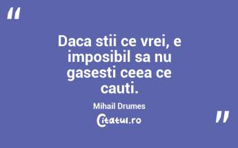 Daca stii ce vrei, e imposibil sa nu gasesti ceea ce cauti. Mihail Drumes...
