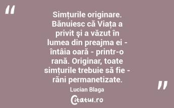 Simţurile originare. Bănuiesc că Viaţa a privit şi a văzut în lumea din preajma ei - întâia oară - printr-o rană. Originar, toate simţurile trebuie să fie - răni permanetizate. Lucian Blaga...