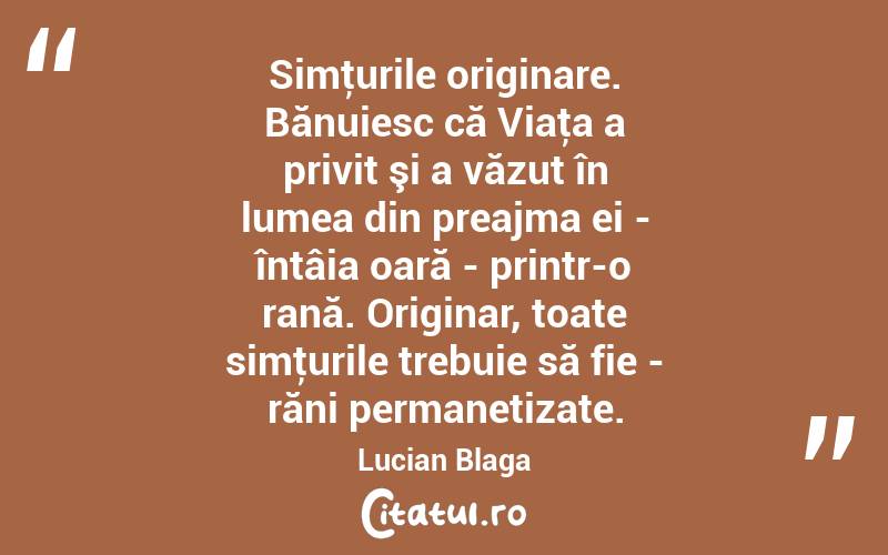 Simţurile originare. Bănuiesc că Viaţa a privit şi a văzut în lumea din preajma ei - întâia oară - printr-o rană. Originar, toate simţurile trebuie să fie - răni permanetizate. Lucian Blaga
