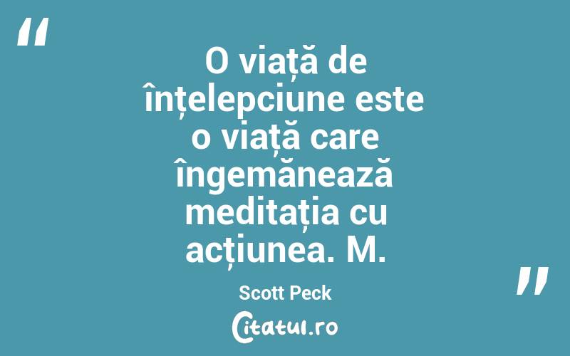 O viaţă de înţelepciune este o viaţă care îngemănează meditaţia cu acţiunea. M. Scott Peck