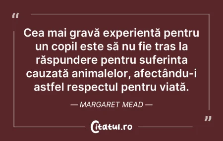 Cea mai gravă experiență pentru un co... Cea mai gravă experiență pentru un co...