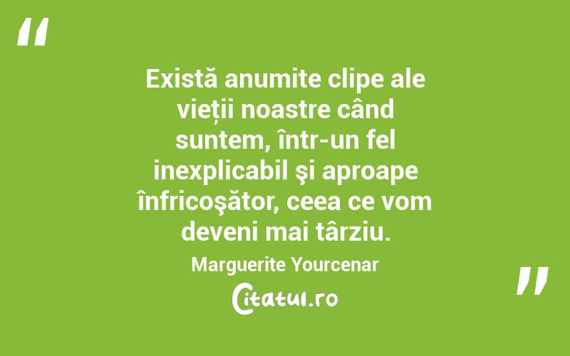 Există anumite clipe ale vieţii noastre când suntem, într-un fel inexplicabil şi aproape înfricoşător, ceea ce vom deveni mai târziu. Marguerite Yourcenar
