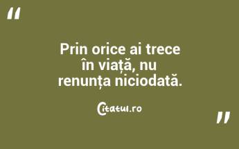 Prin orice ai trece în viaţă, nu renunţa niciodată. ...
