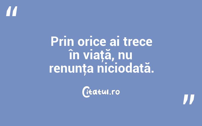 Prin orice ai trece în viaţă, nu renunţa niciodată. 
