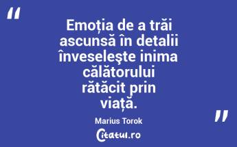 Emoţia de a trăi ascunsă în detalii înveseleşte inima călătorului rătăcit prin viaţă. Marius Torok...