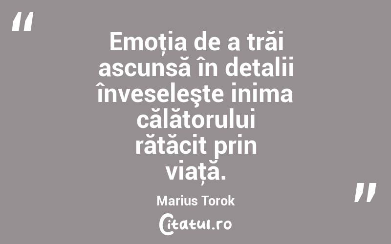 Emoţia de a trăi ascunsă în detalii înveseleşte inima călătorului rătăcit prin viaţă. Marius Torok
