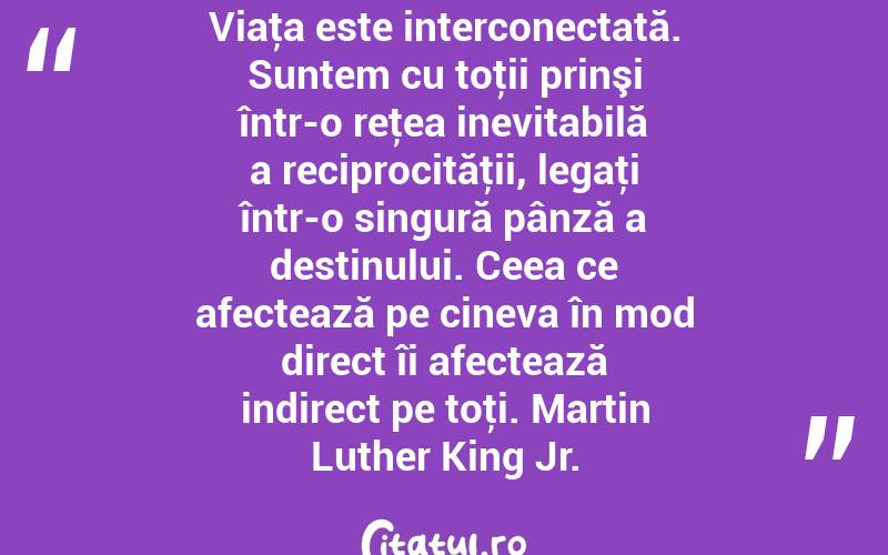 Viaţa este interconectată. Suntem cu toţii prinşi într-o reţea inevitabilă a reciprocităţii, legaţi într-o singură pânză a destinului. Ceea ce afectează pe cineva în mod direct îi afectează indirect pe toţi. Martin Luther King Jr.

