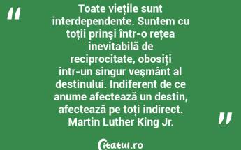 Toate vieţile sunt interdependente. Suntem cu toţii prinşi într-o reţea inevitabilă de reciprocitate, obosiţi într-un singur veşmânt al destinului. Indiferent de ce anume afectează un destin, afectează pe toţi indirect. Martin Luther King Jr....