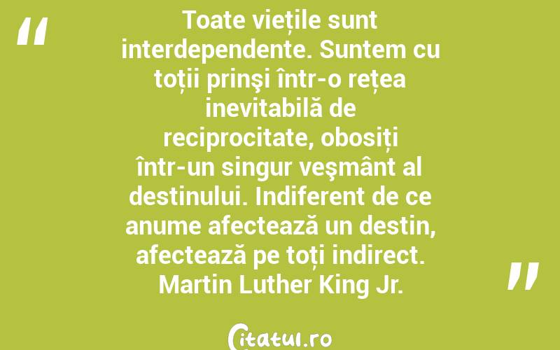 Toate vieţile sunt interdependente. Suntem cu toţii prinşi într-o reţea inevitabilă de reciprocitate, obosiţi într-un singur veşmânt al destinului. Indiferent de ce anume afectează un destin, afectează pe toţi indirect. Martin Luther King Jr.
