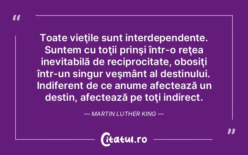 Toate vieţile sunt interdependente. Suntem cu toţii prinşi într-o reţea inevitabilă de reciprocitate, obosiţi într-un singur veşmânt al destinului. Indiferent de ce anume afectează un destin, afectează pe toţi indirect. Martin Luther King