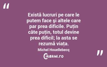 Există lucruri pe care le putem face şi altele care par prea dificile. Puţin câte puţin, totul devine prea dificil; la asta se rezumă viaţa. Michel Houellebecq...