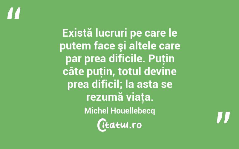 Există lucruri pe care le putem face şi altele care par prea dificile. Puţin câte puţin, totul devine prea dificil; la asta se rezumă viaţa. Michel Houellebecq
