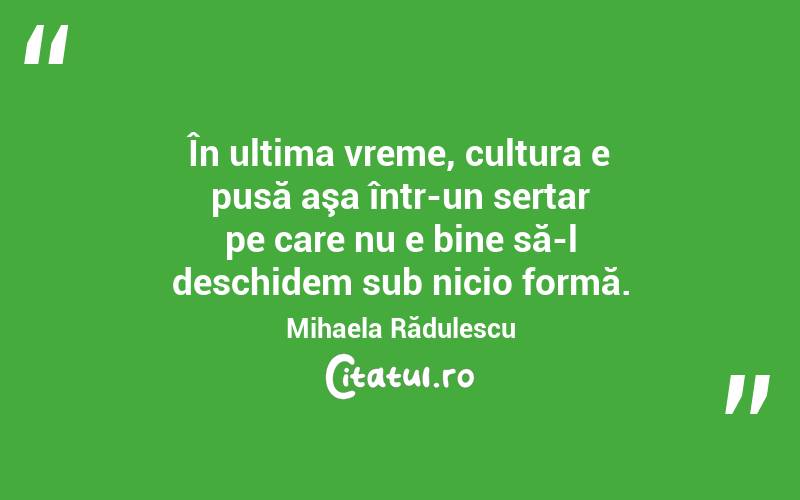 În ultima vreme, cultura e pusă aşa într-un sertar pe care nu e bine să-l deschidem sub nicio formă. Mihaela Rădulescu
