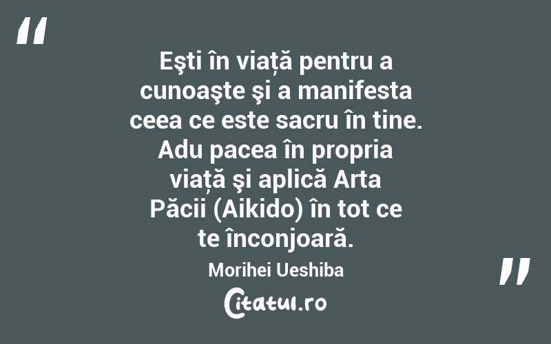 Eşti în viaţă pentru a cunoaşte şi a manifesta ceea ce este sacru în tine. Adu pacea în propria viaţă şi aplică Arta Păcii (Aikido) în tot ce te înconjoară. Morihei Ueshiba
