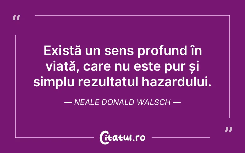 Există un sens profund în viață, care nu este pur și simplu rezultatul hazardului. Neale Donald Walsch