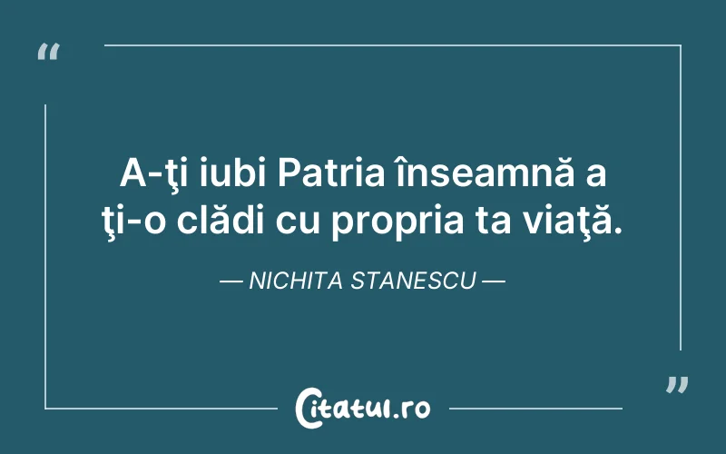 Citat Nichita Stanescu - citate viata