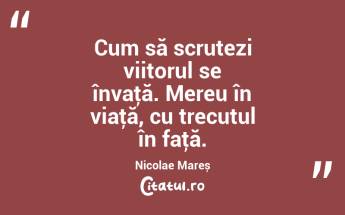 Cum să scrutezi viitorul se învaţă. Mereu în viaţă, cu trecutul în faţă. Nicolae Mareș...