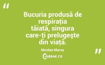 Bucuria produsă de respiraţia tăiată, singura care-ţi prelugeşte din viaţă. Nicolae Mareș...