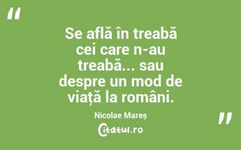 Se află în treabă cei care n-au treabă... sau despre un mod de viaţă la români. Nicolae Mareș...