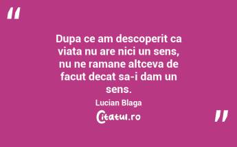 Dupa ce am descoperit ca viata nu are nici un sens, nu ne ramane altceva de facut decat sa-i dam un sens.  Lucian Blaga...