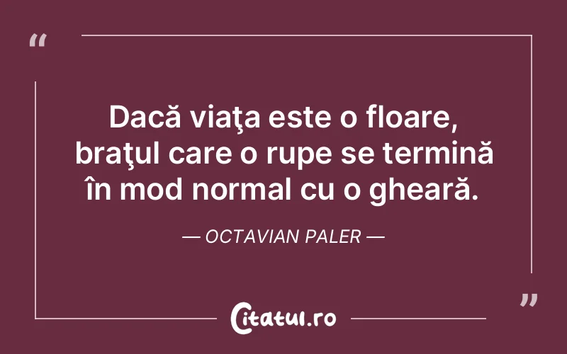 Citat Octavian Paler - citate viata