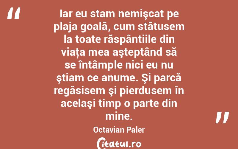 Iar eu stam nemişcat pe plaja goală, cum stătusem la toate răspântiile din viaţa mea aşteptând să se întâmple nici eu nu ştiam ce anume. Şi parcă regăsisem şi pierdusem în acelaşi timp o parte din mine. Octavian Paler