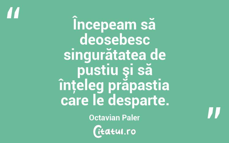 Începeam să deosebesc singurătatea de pustiu şi să înţeleg prăpastia care le desparte. Octavian Paler