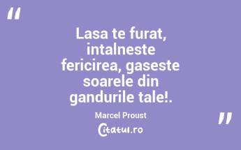 Lasa te furat, intalneste fericirea, gaseste soarele din gandurile tale!. Marcel Proust...