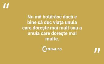 Nu mă hotărăsc dacă e bine să duc viaţa unuia care doreşte mai mult sau a unuia care doreşte mai multe. ...