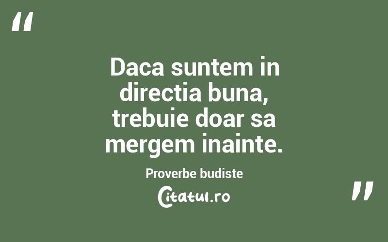 Daca suntem in directia buna, trebuie doar sa mergem inainte. Proverbe budiste