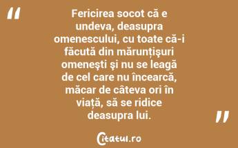 Fericirea socot că e undeva, deasupra omenescului, cu toate că-i făcută din mărunţişuri omeneşti şi nu se leagă de cel care nu încearcă, măcar de câteva ori în viaţă, să se ridice deasupra lui. ...