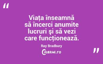 Viaţa înseamnă să încerci anumite lucruri şi să vezi care funcţionează. Ray Bradbury...