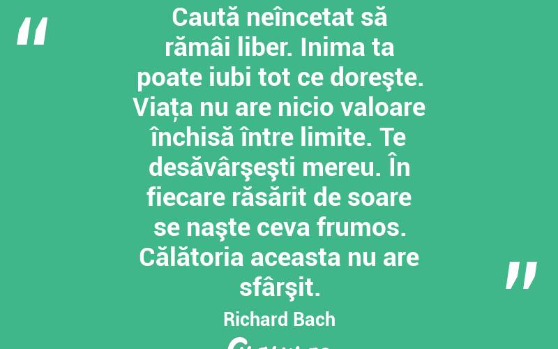 Caută neîncetat să rămâi liber. Inima ta poate iubi tot ce doreşte. Viaţa nu are nicio valoare închisă între limite. Te desăvârşeşti mereu. În fiecare răsărit de soare se naşte ceva frumos. Călătoria aceasta nu are sfârşit. Richard Bach

