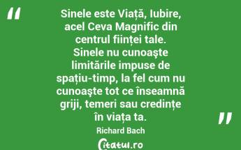 Sinele este Viaţă, Iubire, acel Ceva Magnific din centrul fiinţei tale. Sinele nu cunoaşte limitările impuse de spaţiu-timp, la fel cum nu cunoaşte tot ce înseamnă griji, temeri sau credinţe în viaţa ta. Richard Bach...