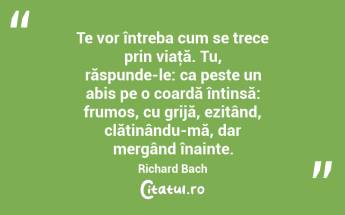 Te vor întreba cum se trece prin viaţă. Tu, răspunde-le: ca peste un abis pe o coardă întinsă: frumos, cu grijă, ezitând, clătinându-mă, dar mergând înainte. Richard Bach...