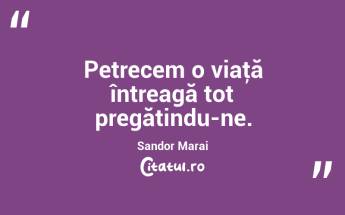 Petrecem o viaţă întreagă tot pregătindu-ne. Sandor Marai...