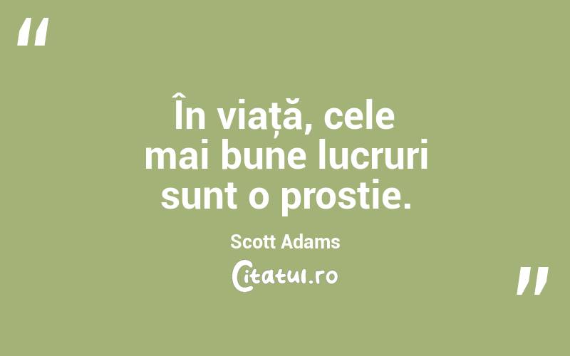 În viaţă, cele mai bune lucruri sunt o prostie. Scott Adams
