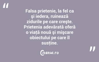 Falsa prietenie, la fel ca şi iedera, ruinează zidurile pe care creşte. Prietenia adevărată oferă o viaţă nouă şi mişcare obiectului pe care îl susţine. ...