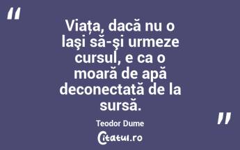 Viaţa, dacă nu o laşi să-şi urmeze cursul, e ca o moară de apă deconectată de la sursă. Teodor Dume...