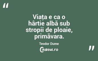 Viaţa e ca o hârtie albă sub stropii de ploaie, primăvara. Teodor Dume...