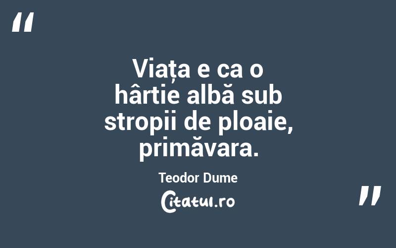 Viaţa e ca o hârtie albă sub stropii de ploaie, primăvara. Teodor Dume