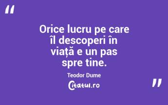 Orice lucru pe care îl descoperi în viaţă e un pas spre tine. Teodor Dume...