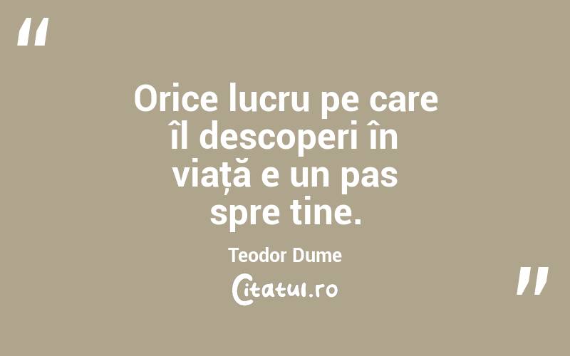 Orice lucru pe care îl descoperi în viaţă e un pas spre tine. Teodor Dume
