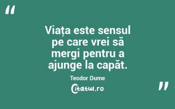 Viaţa este sensul pe care vrei să mergi pentru a ajunge la capăt. Teodor Dume...
