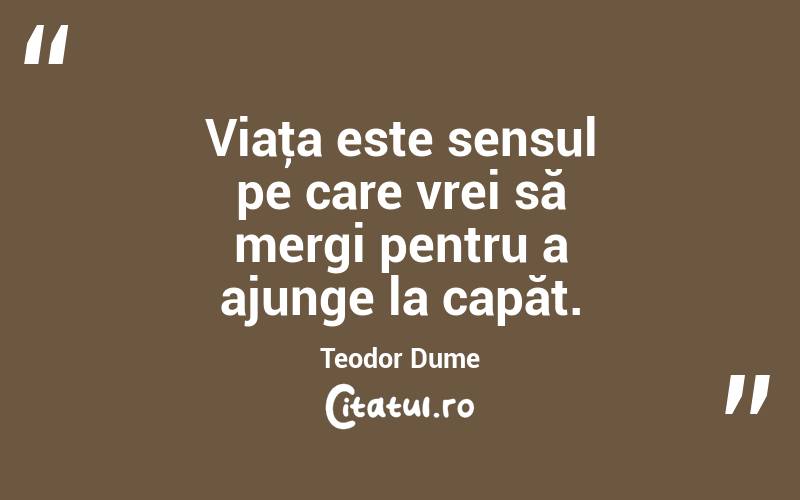 Viaţa este sensul pe care vrei să mergi pentru a ajunge la capăt. Teodor Dume

