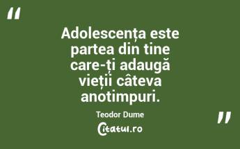 Adolescenţa este partea din tine care-ţi adaugă vieţii câteva anotimpuri. Teodor Dume...
