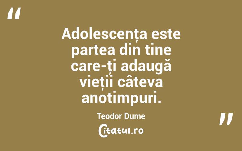 Adolescenţa este partea din tine care-ţi adaugă vieţii câteva anotimpuri. Teodor Dume
